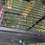 Bird Cage 3 thumbnail