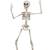 19" positionable plastic skeleton SUNSTAR Brand 1 thumbnail