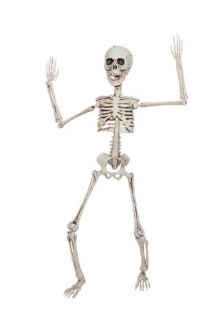 19" positionable plastic skeleton SUNSTAR Brand 1