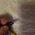 video cable with 2 inverted gold plated couplers 18 feet 7 thumbnail