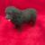 Newfoundland Dog Figurine by Conversation Concepts DF30 1 thumbnail