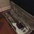 Telecaster and Strat Guitars and Ibanez Bass (cases included) OBO 7 thumbnail