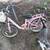 Multiple Bikes 4 thumbnail