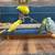 Parrotlets 1 thumbnail