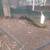 White Peacocks 2 thumbnail