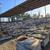 SURPLUS STONE VENEER $500 EACH PALLET (100 SQUARE FEET PER PALLET) ** 10 thumbnail