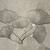 Chrome Wire Flower Wall Art 2 thumbnail