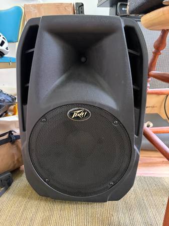 Peavey PBK passive 12” speaker 1