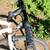 Shogun 700c XL Tuned and Ready to Ride New Tubes 4 thumbnail