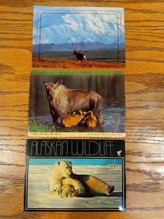 Vintage Alaska Postcards - Lot of 3 1