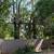 Tree service 12 thumbnail