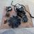 Ford Serpentine Belt Accessory Kit 5.0 V8 302 Bronco 5.8 Swap 6 thumbnail