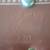 Vintage Platt Pilot hardshell leather aviator's suitcase 13 thumbnail