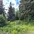 - Price Reduction - Undeveloped view lot 4 thumbnail