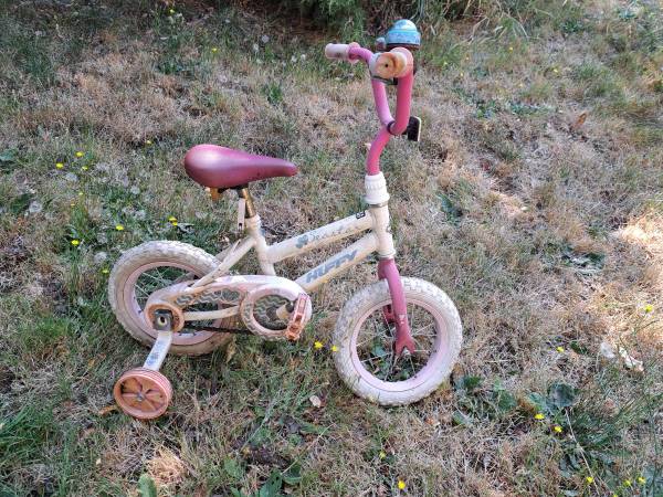 Free kid's bike 1
