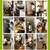 House Cleaning Services $67/Wkly Cleaning 1Br 1Ba, Move-in/Move-Out Cl 19 thumbnail