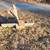 4ft grading blade 3 thumbnail