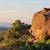 Escape the Heat! C.O.D. Ranch*Hike*Bike*Ride*Oracle State Park+Zipline 7 thumbnail