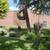1728 3rd Ave, Large HW Corner 1BR in Stevens, Walk DT, Pets OK! 17 thumbnail