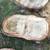 Cottonwood Round Slabs 20 thumbnail