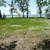 OTTER TAIL LAKE PROPERTY, w/100' on Lake and Full 1 Acre 11 thumbnail