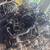 Complete 6.6 duramax engine needs rebuild 2 thumbnail
