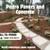 🟢PEDRO Pavers & Concrete Speciaist, Artificial Turf, Masonry, more🟢 1 thumbnail