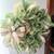 🌿 BEAUTIFUL ONE-OF-A-KIND WREATHS & MORE .. $50 4 thumbnail