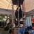 Gemmy Hang-Up Caged Skeleton  animated Halloween Decoration 5 thumbnail
