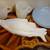 Vintage Milk Glass items- 3 bowls, 2 cups and fish dish 1 thumbnail