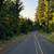 Secluded, Wooded Riverside Retreat - RMLS#24012878 3 thumbnail