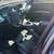 2006 Bmw 330i 138k mi.-RARE 6-spd/sport package-new paint-clean title! 10 thumbnail