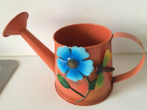 Decorative Metal Watering Can - $10 (Queens)63471239161859123