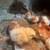 Chicks 1 thumbnail