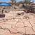 Landscaper 14 thumbnail