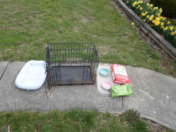 Dog Cage 1