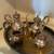 Sterling Silver coffee/tea set 1 thumbnail