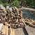 Firewood Delivered Stacked or Wood Yard Pick Special - LAKEWAY TX 4 thumbnail