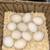 1 Dozen Gamefowl hatching eggs 1 thumbnail