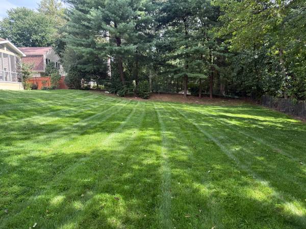 Professional Landscaping Services! Manassas/Woodbridge 1