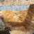Chicken Flock(s) 12 thumbnail