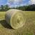 Tons of 4x5 Round Bales Forsale 5 thumbnail