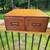 Tiger Oak Two Drawer Card Catalog 3 thumbnail