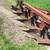4 bottom Plow 5 thumbnail