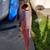 18' One of a Kind Wood Touring lightweight Kayak + Seat 1 thumbnail