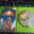 XBOX BACKWARDS COMPATIBLE SPHINX GAME COMPLETE IN BOX 3 thumbnail