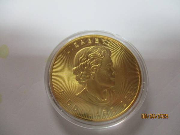 want to buy silver maples 1