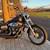 2007 Harley Davidson Dyna Street Bob (LOW miles) 1 thumbnail