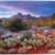 Dramatic Sedona Arizona Fine Art Color Photograph Framed 2 thumbnail