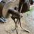Anvils, Tongs, Blacksmith Leg Vises, Hardis, Hammers, Fullers, Forges 6 thumbnail